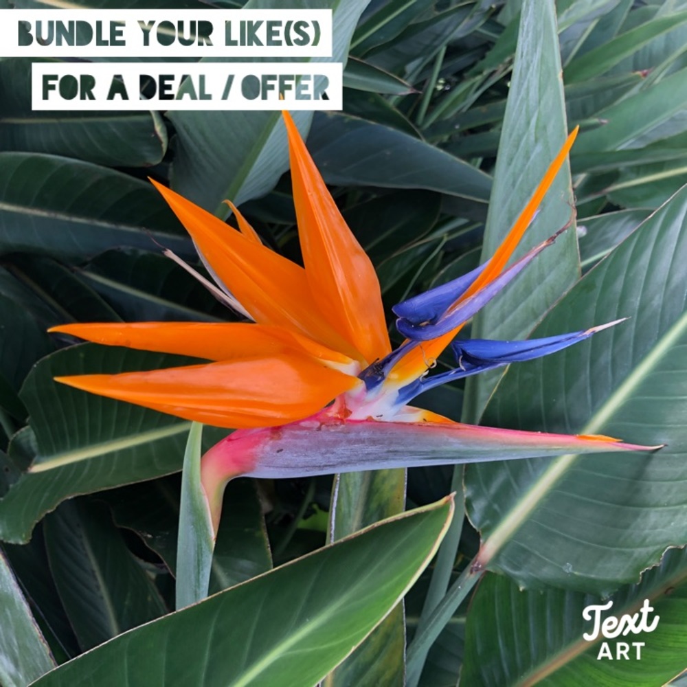 BUNDLE your likes!